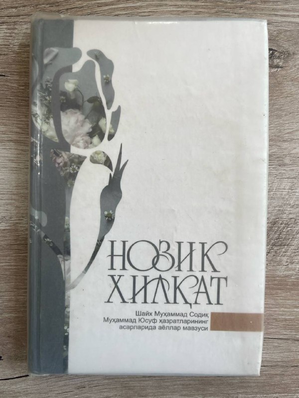 Nozik xilqat