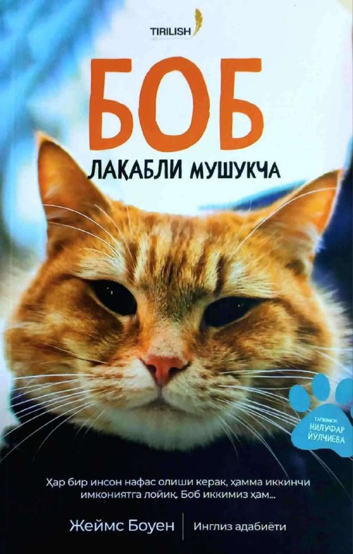 Bob laqabli mushukcha